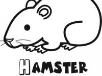 Dibujos de hamsters en Conmishijos.com