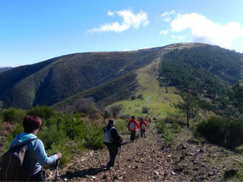 Rutas Y Excursiones Por Salamanca Con Ni Os