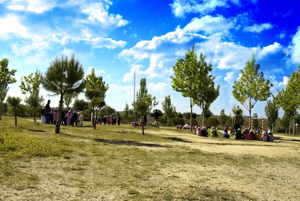 Granja Escuela Para Niños Albitana En Brunete 5823