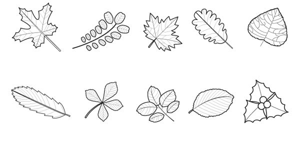 Details 48 imágenes de hojas de árboles para dibujar