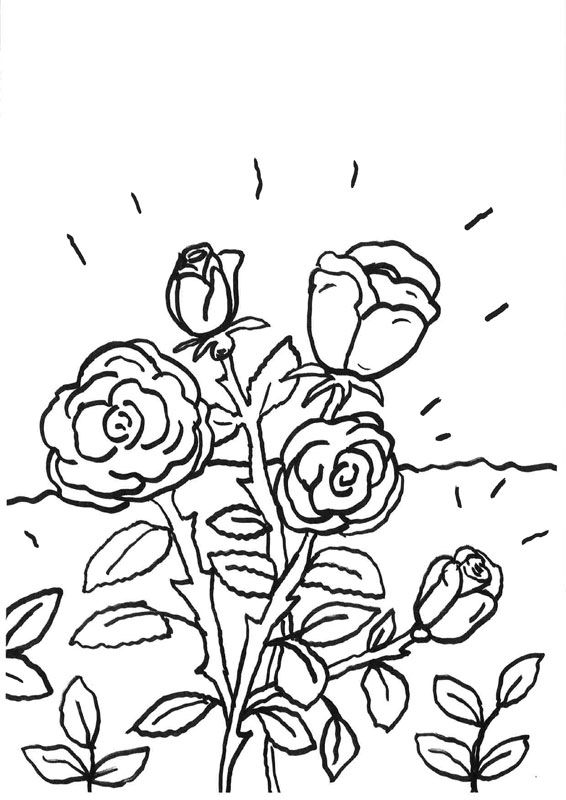 Dibujo de Rosa de los vientos para colorear