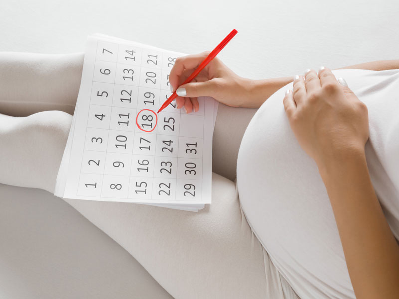 Calendario Chino de Embarazo 2023