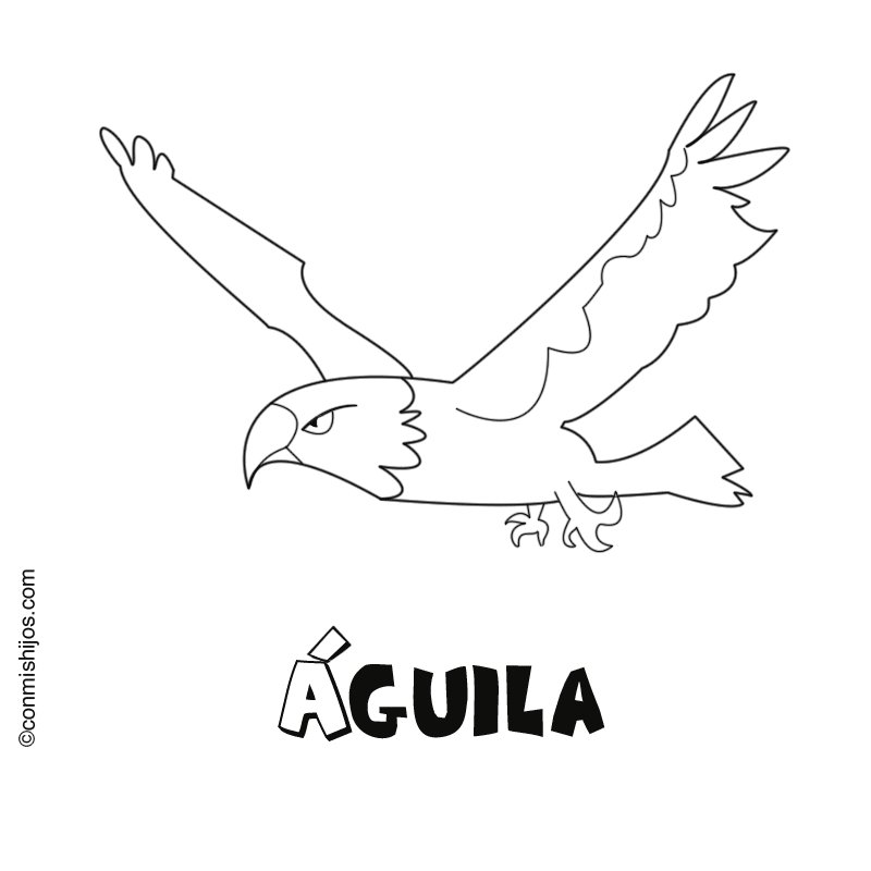 Aguila: Dibujos para colorear