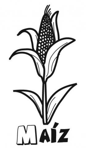 Dibujo de maíz para imprimir y colorear. Dibujos de alimentos para niños