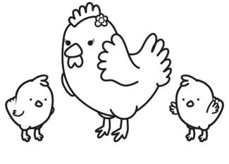 Gallina con sus pollitos: dibujo para colorear e imprimir
