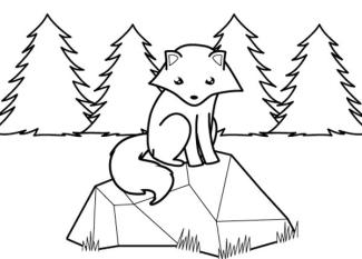 Zorro polar en el bosque: dibujo para colorear e imprimir