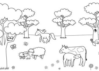 Animales en el campo: dibujo para colorear e imprimir