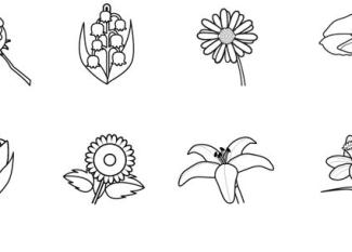 Imágenes de flores: dibujo para colorear e imprimir