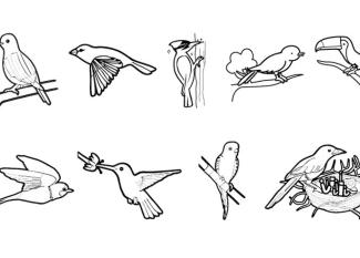 Pájaros: dibujo para colorear e imprimir