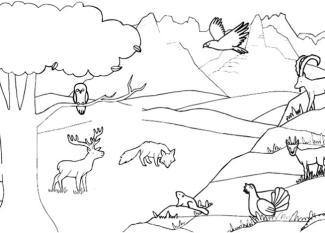 Animales de la montaña: dibujo para colorear e imprimir