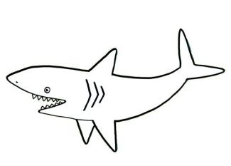 Tiburón: dibujo para colorear e imprimir