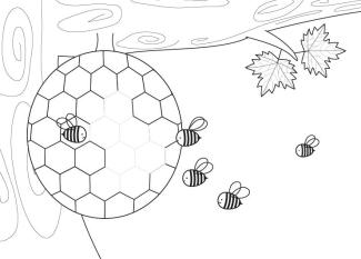 Panal de abejas: dibujo para colorear e imprimir
