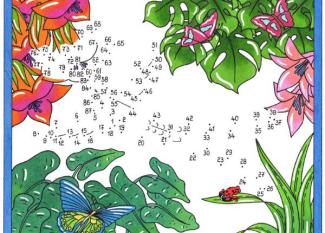 Dibujo de unir puntos de un colibrí y mariposa: dibujo para colorear e imprimir