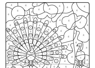 Dibujo mágico de pavo real: dibujo para colorear e imprimir