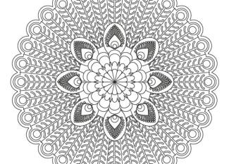 Mandala de pavo real: dibujo para colorear e imprimir