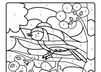 Dibujo mágico de un pájaro cantando: dibujo para colorear e imprimir