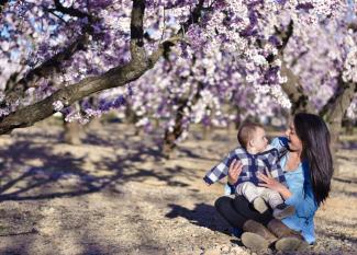 Dónde ver los almendros en flor en familia