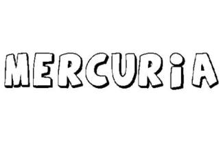MERCURIA