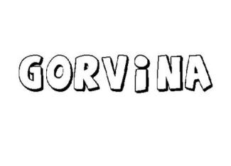 GORVINA