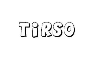 TIRSO 