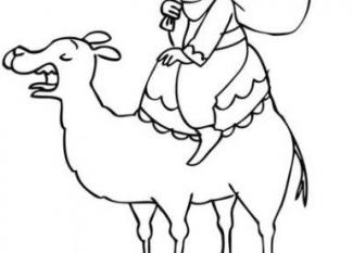 Dibujo de Rey Baltasar sobre su camello para niños