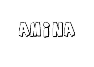 AMINA