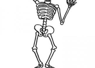 Dibujo de un esqueleto para pintar. Imágenes del cuerpo humano