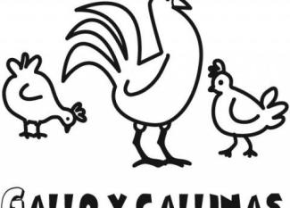 Imagen de gallo y gallinas para colorear