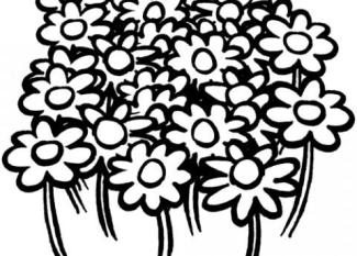 Dibujos de un campo de flores para colorear por los niños.