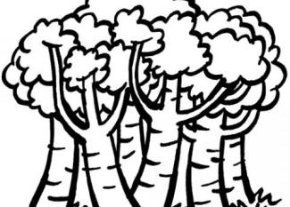 Dibujos de árboles en primavera para colorear con los niños