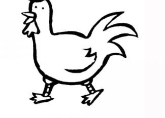 Dibujo de gallo para imprimir y colorear con niños