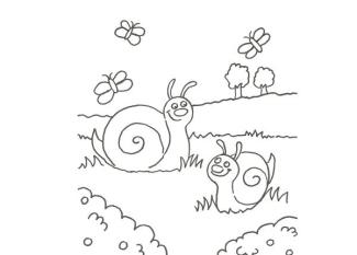 Dibujo de caracoles y mariposas para pintar con niños