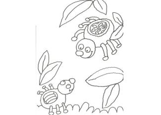 Dibujo de una araña para colorear con niños