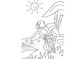 Dibujo de una cacatúa en la selva para colorear con niños