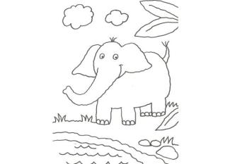 Dibujo de un elefante en la selva para colorear con niños