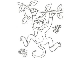 Dibujo de mono y mariposas para pintar con niños