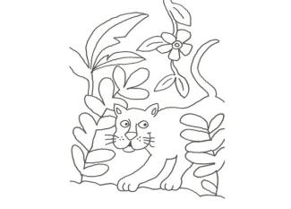 Dibujo de una pantera en la selva para pintar con niños