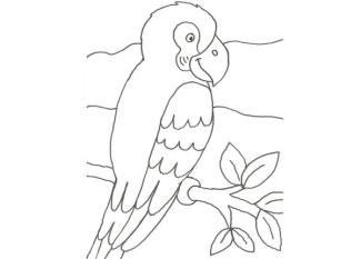 Dibujo de un papagayo para colorear con niños