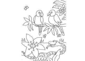 Dibujo de una serpiente y pájaros para colorear con niños
