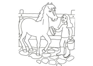 Dibujo para pintar con niños de un veterinario y un caballo