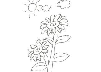 Dibujo de dos flores grandes para colorear con niños