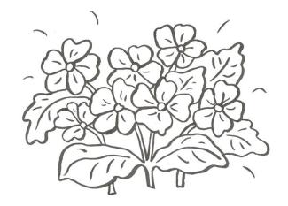 Dibujo de un ramo de flores para colorear con niños