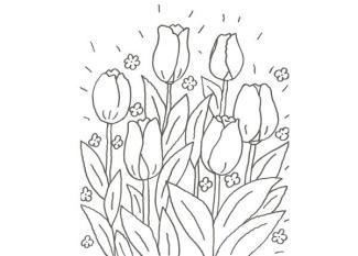 Dibujo de un tulipán para que pinten los niños