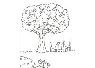 Dibujo de un árbol con cerezas para que los niños pinten