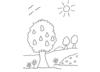 Dibujo de un árbol con peras para colorear con niños