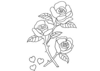 Dibujo de rosas y corazones para pintar con niños