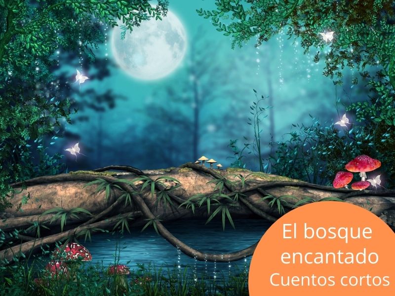 Bosque Encantado, Luna Llena En Una Noche Estrellada, Ilustración