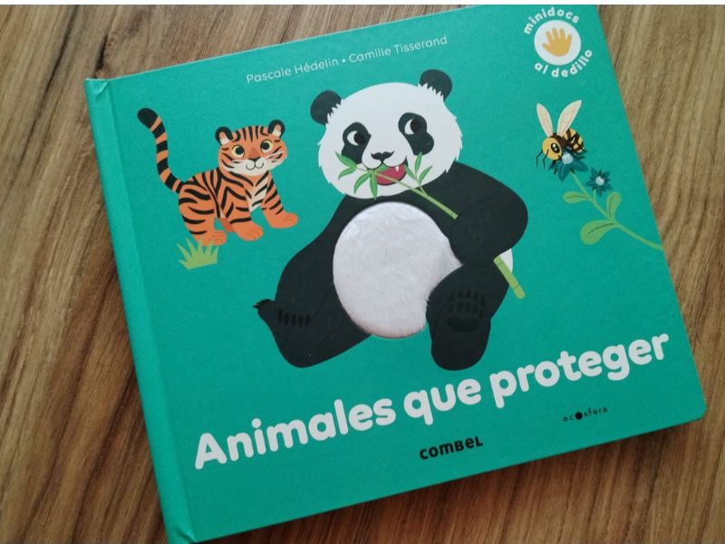 libro para niños